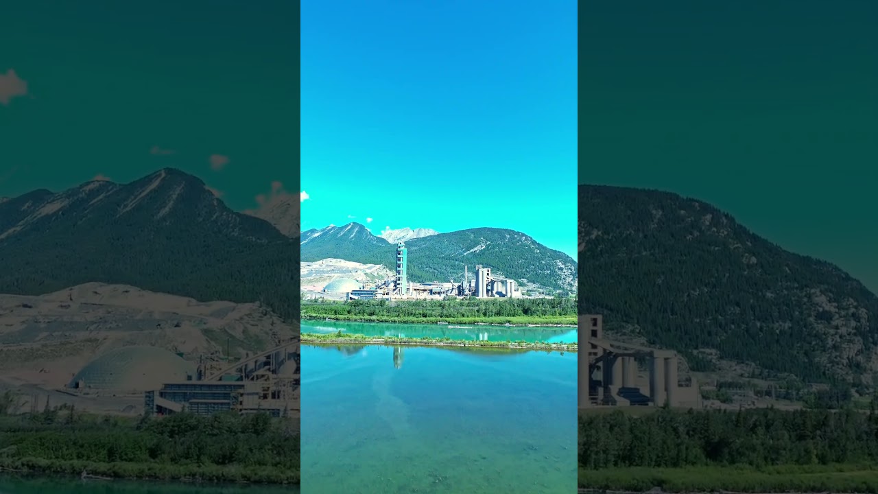 View and Plant #adventure #nature #travel #shortvideo