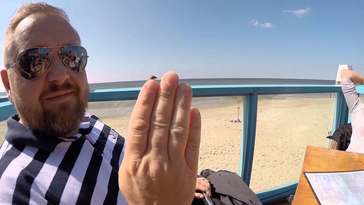 Callantsoog 2014   Das Experiment   TEIL 1