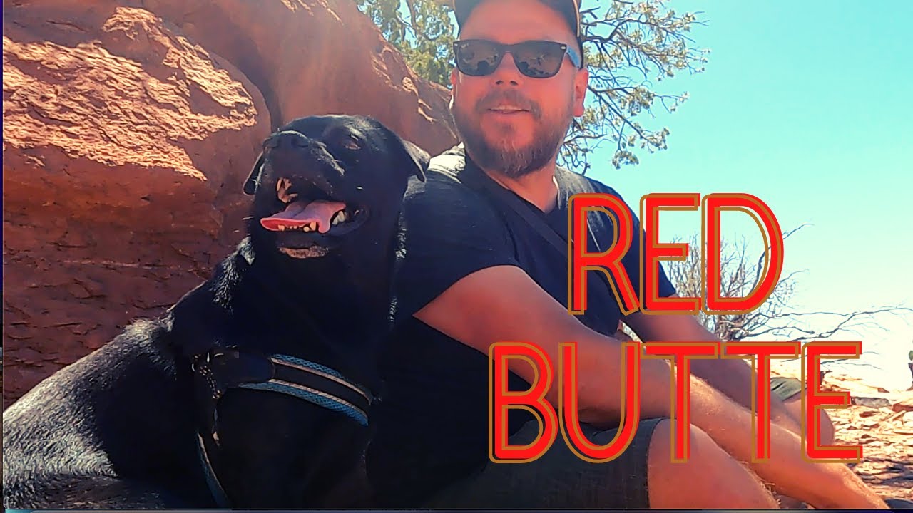 Epic Red Butte Trail- Grand Canyon, AZ. Huge Lizards & Views with Wandering Jimmy