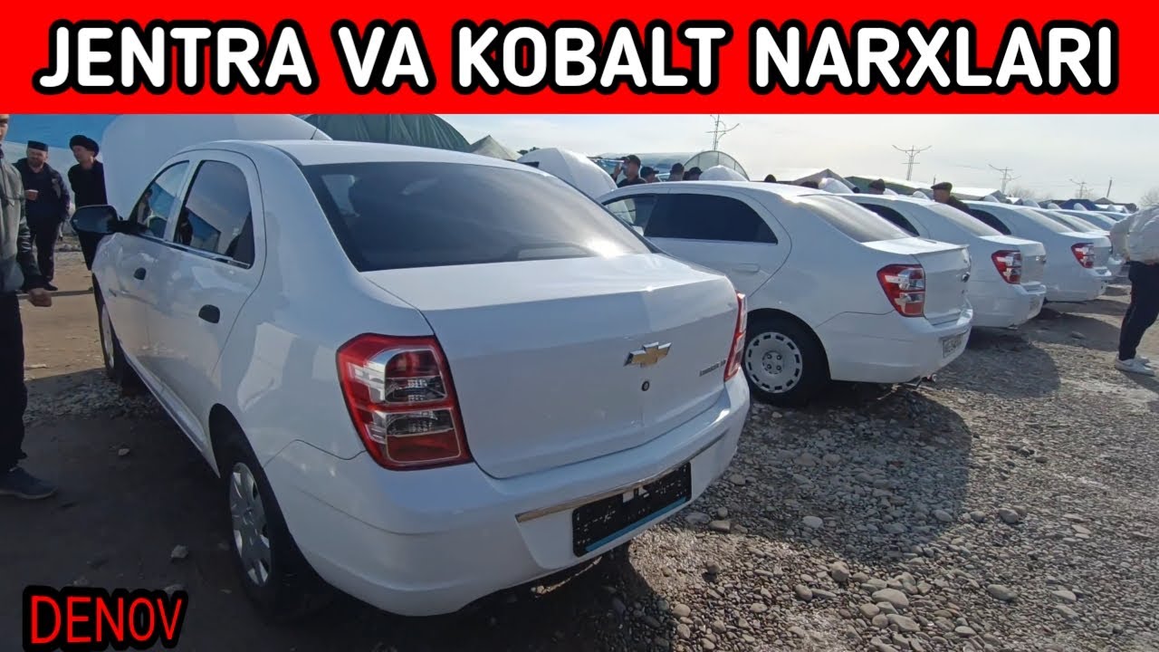 1.FEVRAL JENTRA VA KOBALT NARXLARI UZGARDI DENOV MOSHINA BOZORI NARXLARI 2026.YIL