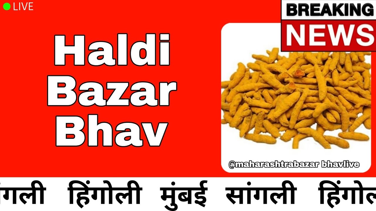 🔴 20/02/2026 Maharashtra Bazar Bhav: Turmeric Rates Today