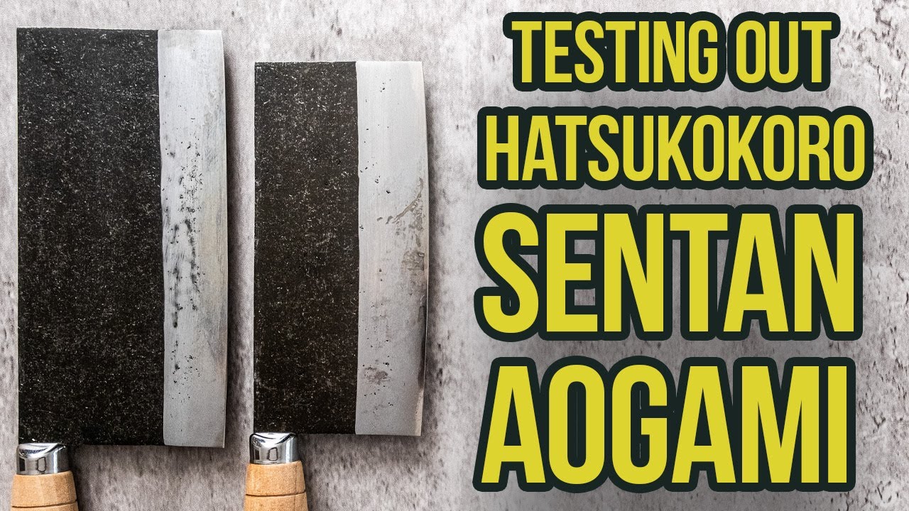 TESTING OUT - HATSUKOKORO SENTAN