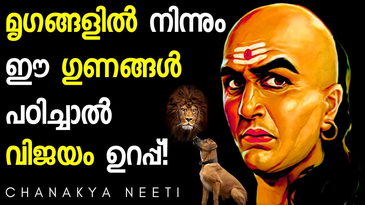 ഏത്  സാഹചര്യത്തിലും  വിജയിക്കും Learn These 20 Qualities from Animals | Chanakya Neeti