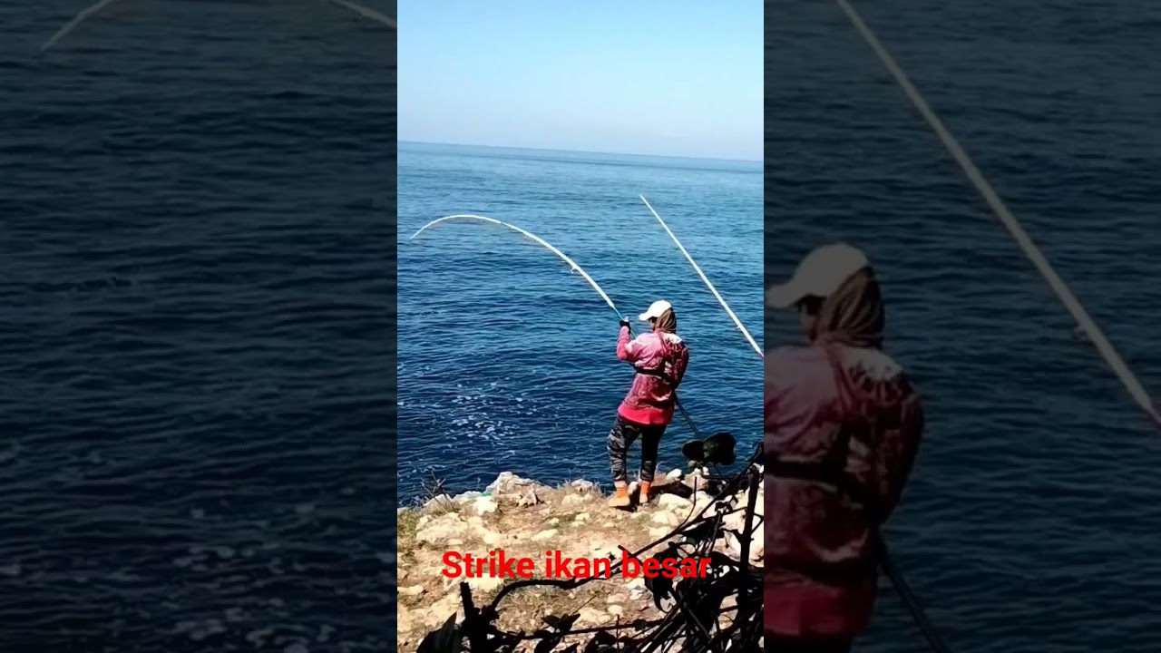 PANIK ❗ strike ikan besar