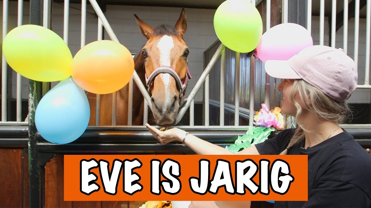 HET IS FEEST! EVE IS JARIG 🎉🎁 🎈 | PaardenpraatTV