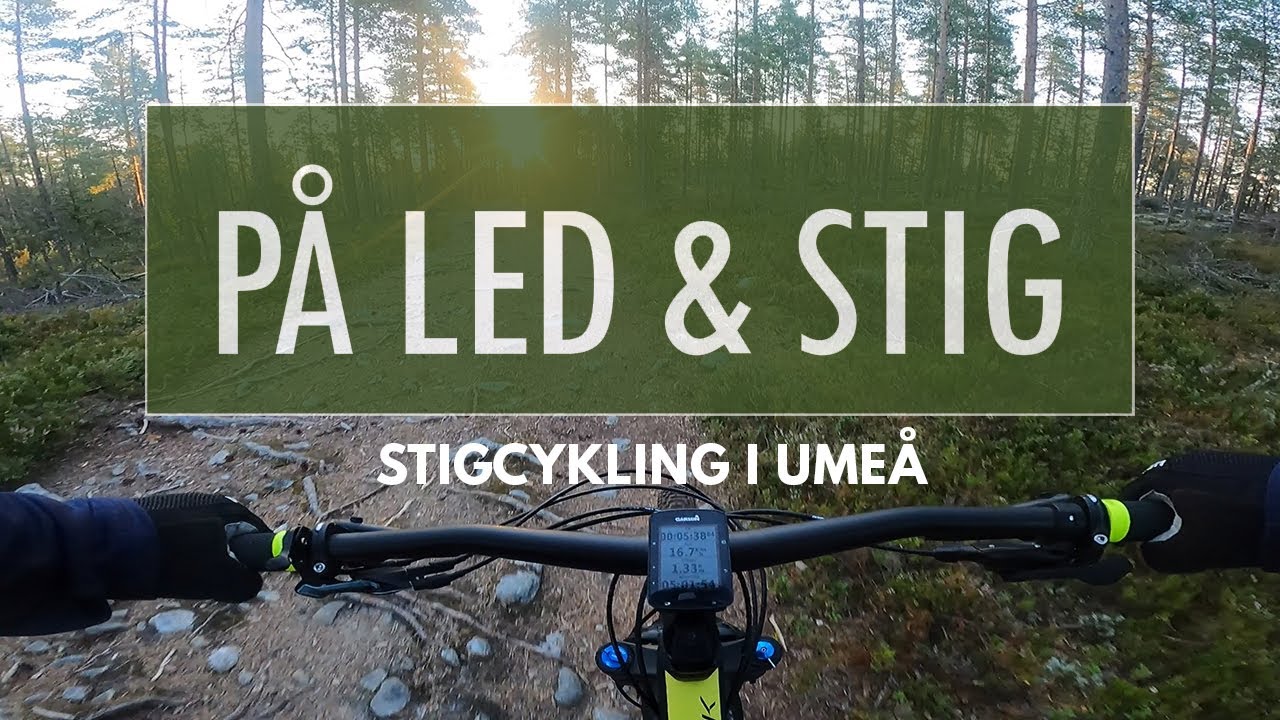 Stigcykling i Ume&aring; (MTB)