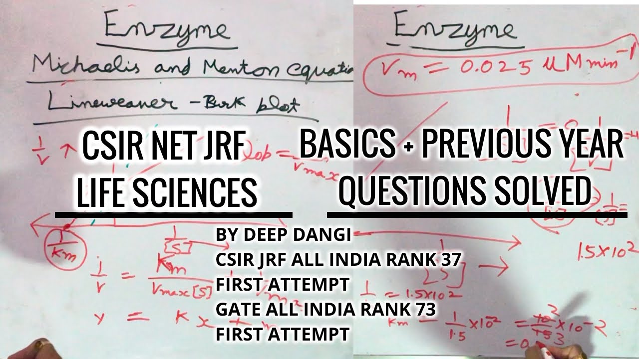 ENZYMES BASICS EXPLAINED CSIR NET JRF AND PREVIOUS YEAR QUESTIONS SOLVED AND EXPLAINED