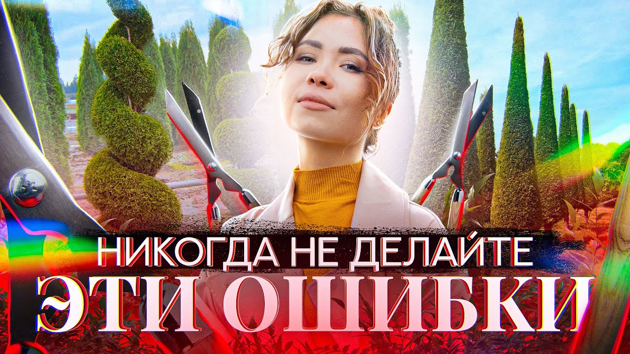 ТУЯ СМАРАГД: спиральная и топиарная стрижка (обрезка и формирование туи)