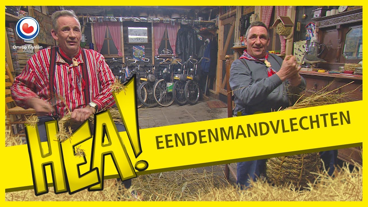 HEA! Eendenmandvlechtende broers