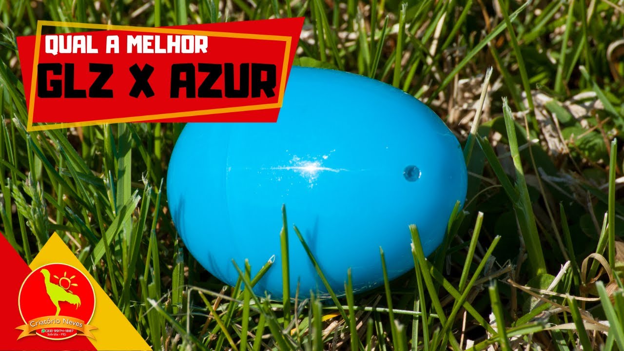 GLZ ou AZUR. Qual devo ESCOLHER?