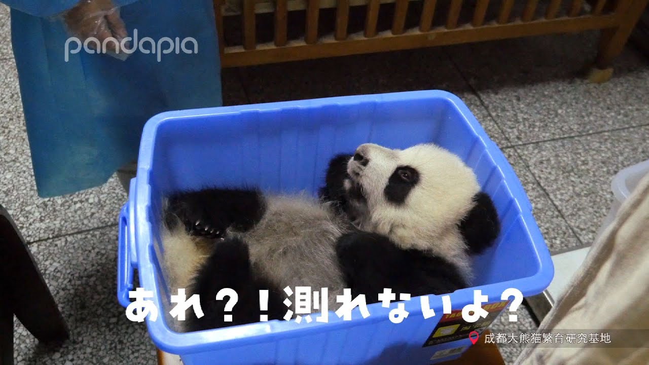 測れないよ！？