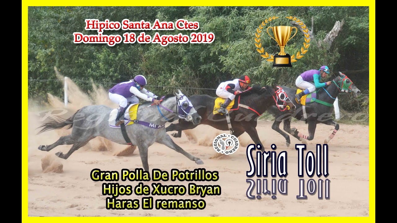 SIRIA TOLL- POLLA  DE POTRILLOS NACIONALES- H&Iacute;PICO SANTA ANA CTES - 18.08.19