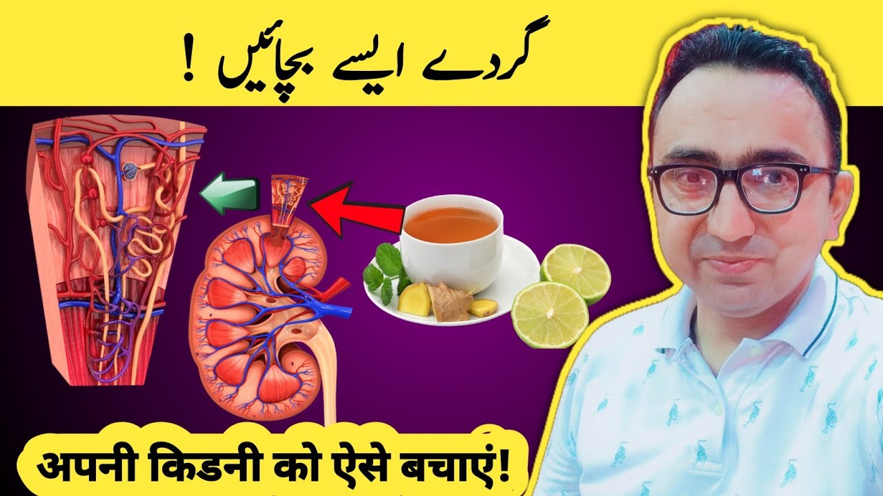 Stop Kidney Damage Before It Starts: Critical Steps To Follow