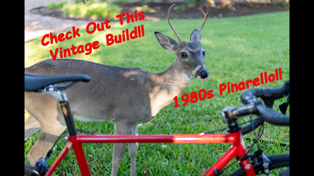 Build Video - Restoring a Vintage Steel Pinarello!