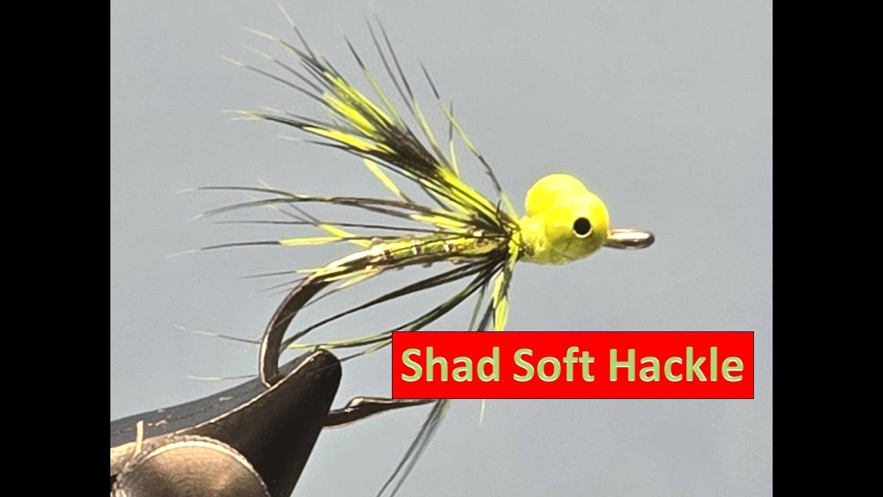Shad Soft Hackle