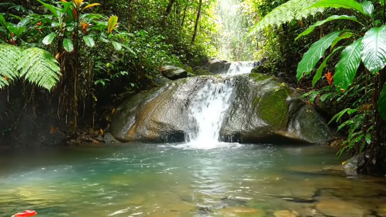 Tinnitus Relief: Constant River Sounds & Soft Forest Birds | Masking White Noise