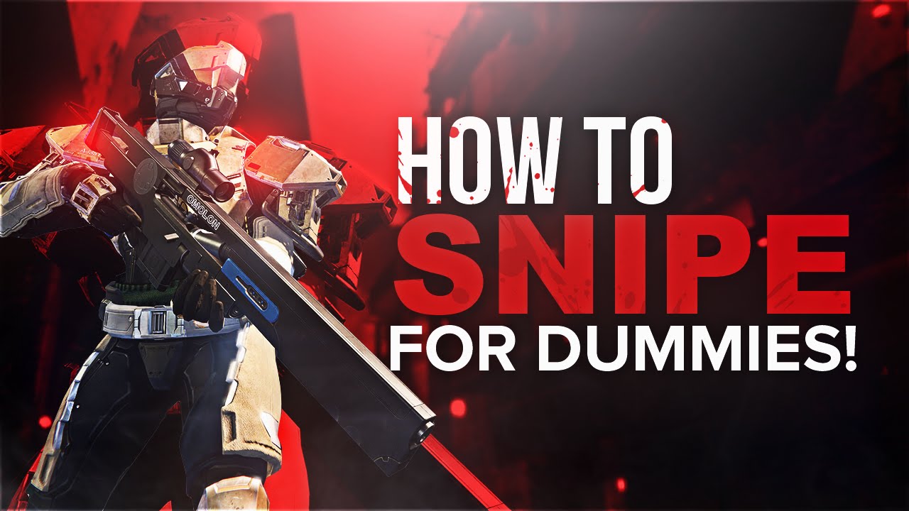 Destiny: How To Snipe For Dummies!