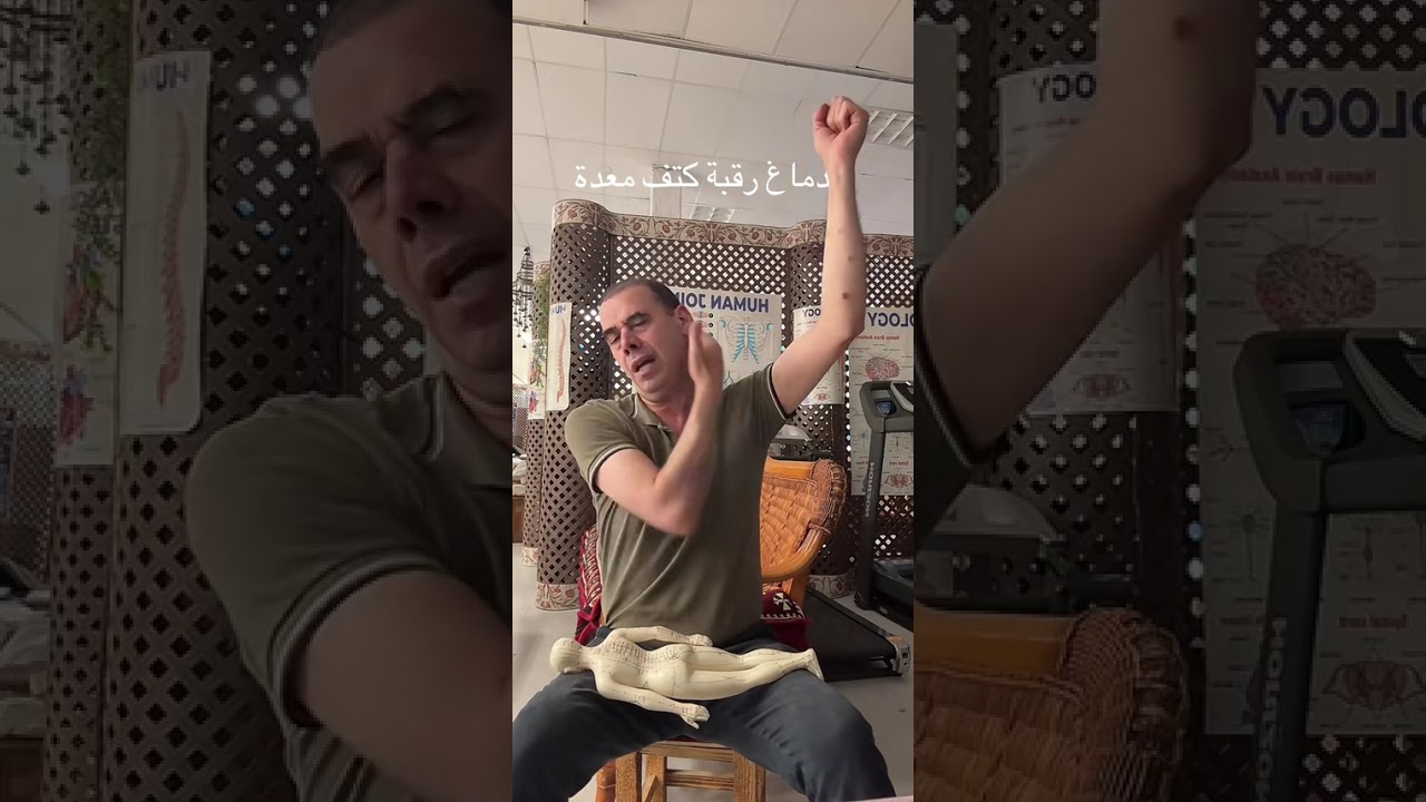 Мозг, шея, желудок и нижняя часть тела