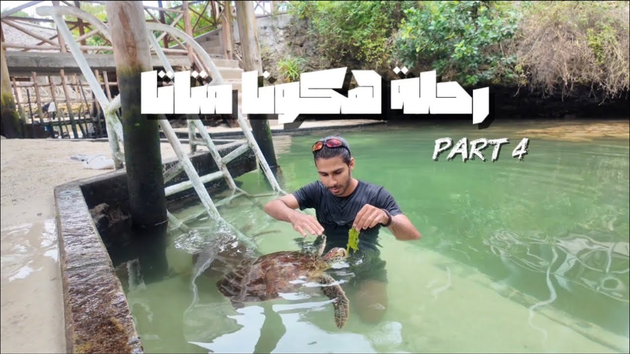 رحلتي إلى جزيرة هكونا متاتا ✈️🏝️ Part IV || هجموا علي السلاحف! 🐢😅 #فلوق #زنجبار 