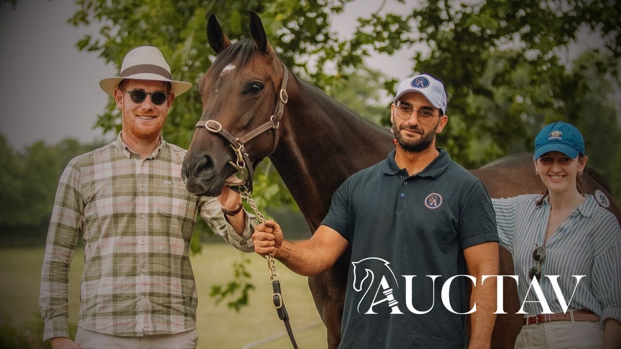 VENTE JEAN PIERRE DUBOIS - HELENIUM - 600.000€ - CONOR QUIRKE