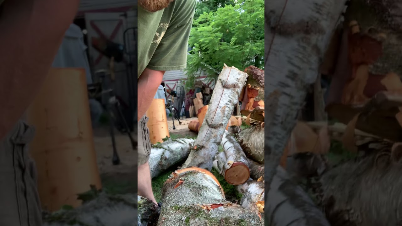 Peeling birch bark for future rustic projects.