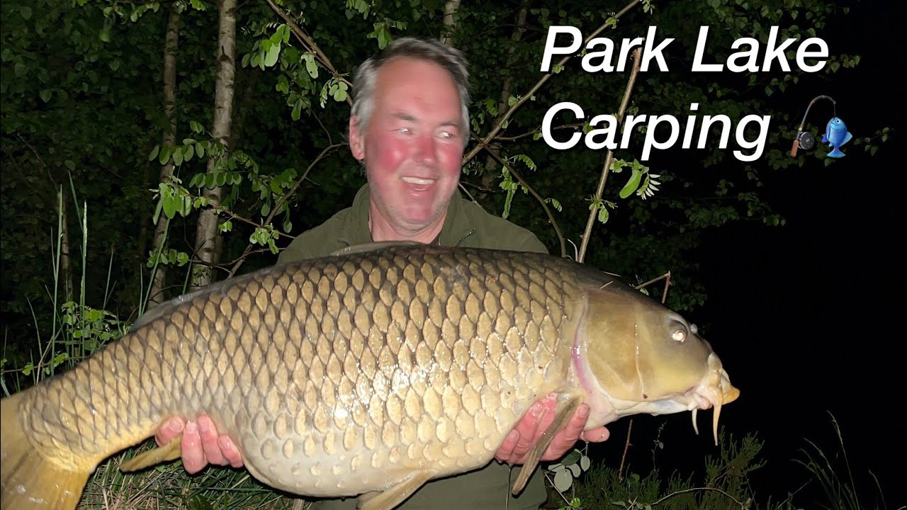Общественный аквапарк, озеро, ловля карпа 🇫🇷🎣