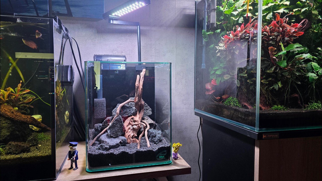 me Aquaristic - Neues Garnelen Aquarium, aus 10 mach 20 - Teil 2