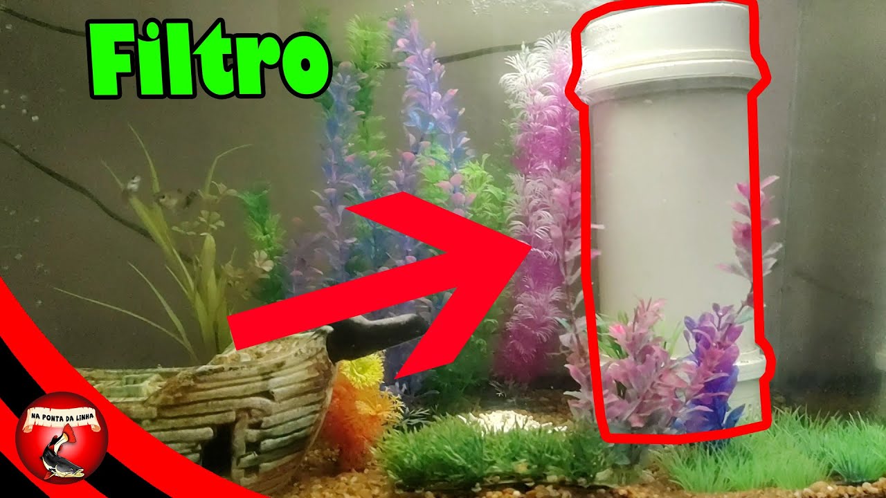Como fazer filtro interno caseiro (FÁCIL, BARATO E EFICIENTE)