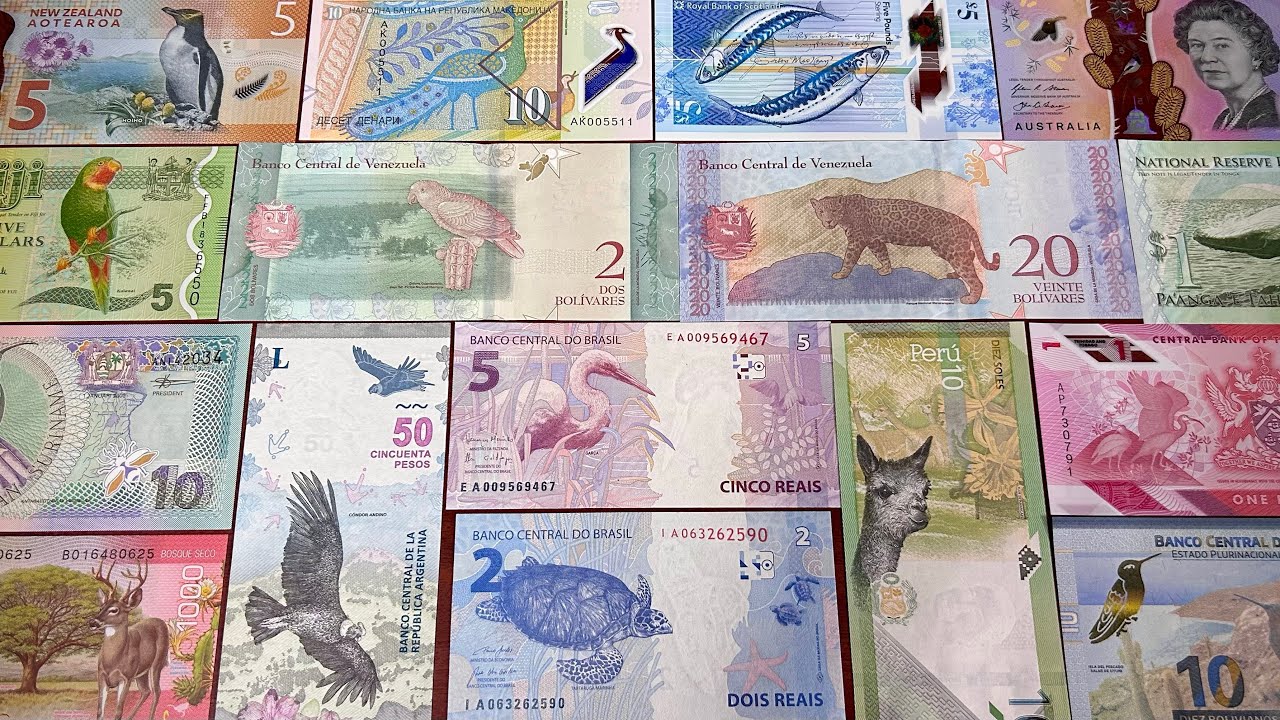 “Global Fauna on Currency: A Journey Through Animals & Birds -Themed Banknotes (Part - 2)”