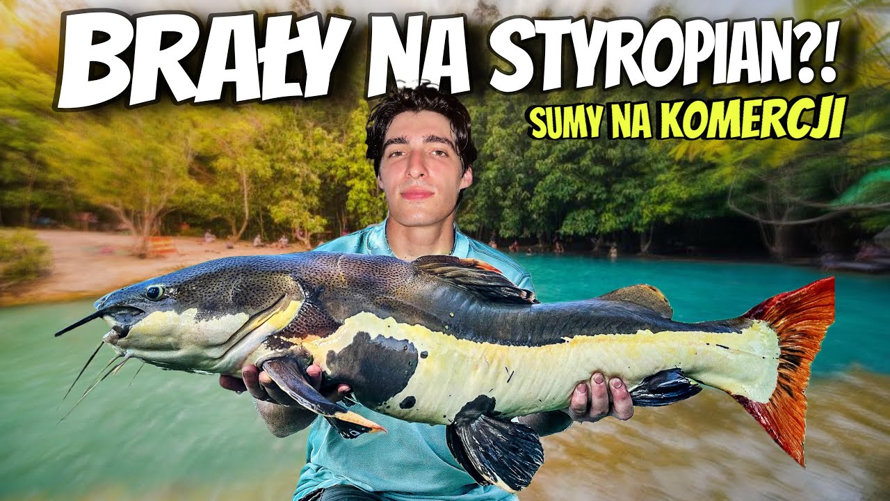 JAK WYGLĄDA KOMERCJA ZA 50zł w Tajlandii!?