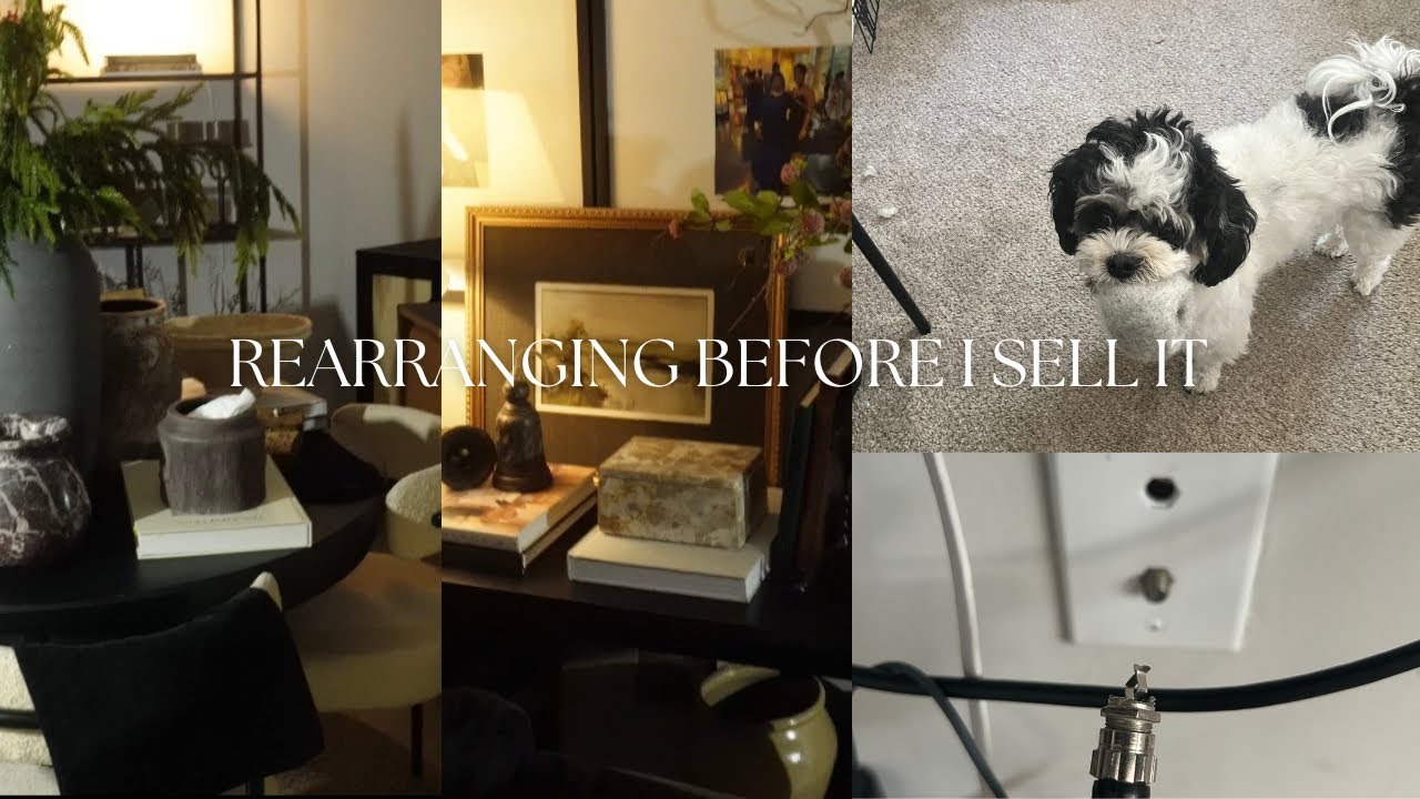 «Я переставила мебель в гостиной… и не ожидала ТАКОГО!»