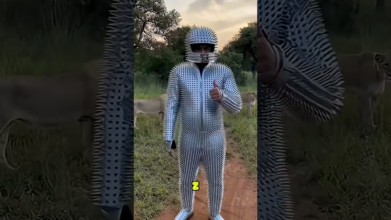 Kolczasty str&oacute;j vs Lwy &ndash; Szalony eksperyment!