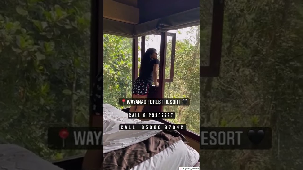 📍Wayanad Forest Resort