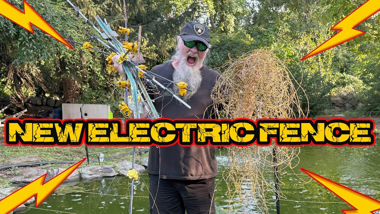 Electric Fence Gone Wrong: Koi Pond Makeover
