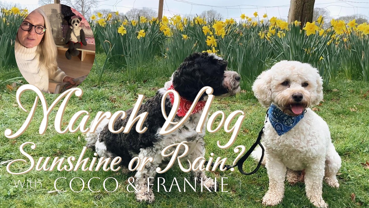 A Cozy Gentle Day When the World Feels Heavy | Garden Walk, Almond Tart & Spring Companion