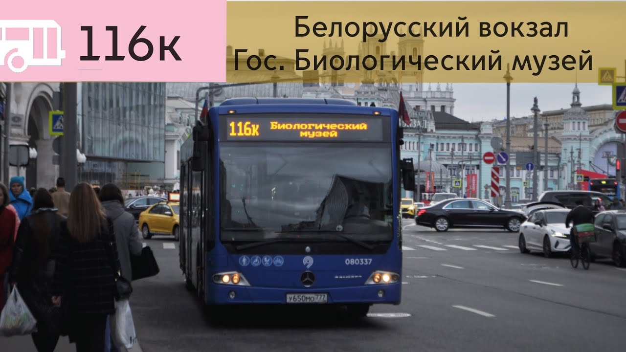 Информатор автобуса: 116к Белорусский вокзал - Гос. биологический музей [НЕПОЛНЫЙ МАРШРУТ]
