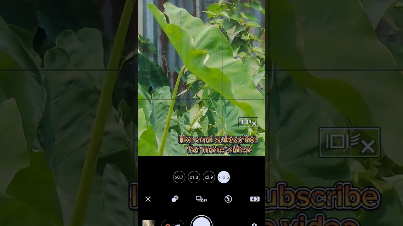 Sony Xperia 1 mark 3 camera zoom capabilities #sony #xperia1mark3 #camera #zoom #sonyphotography