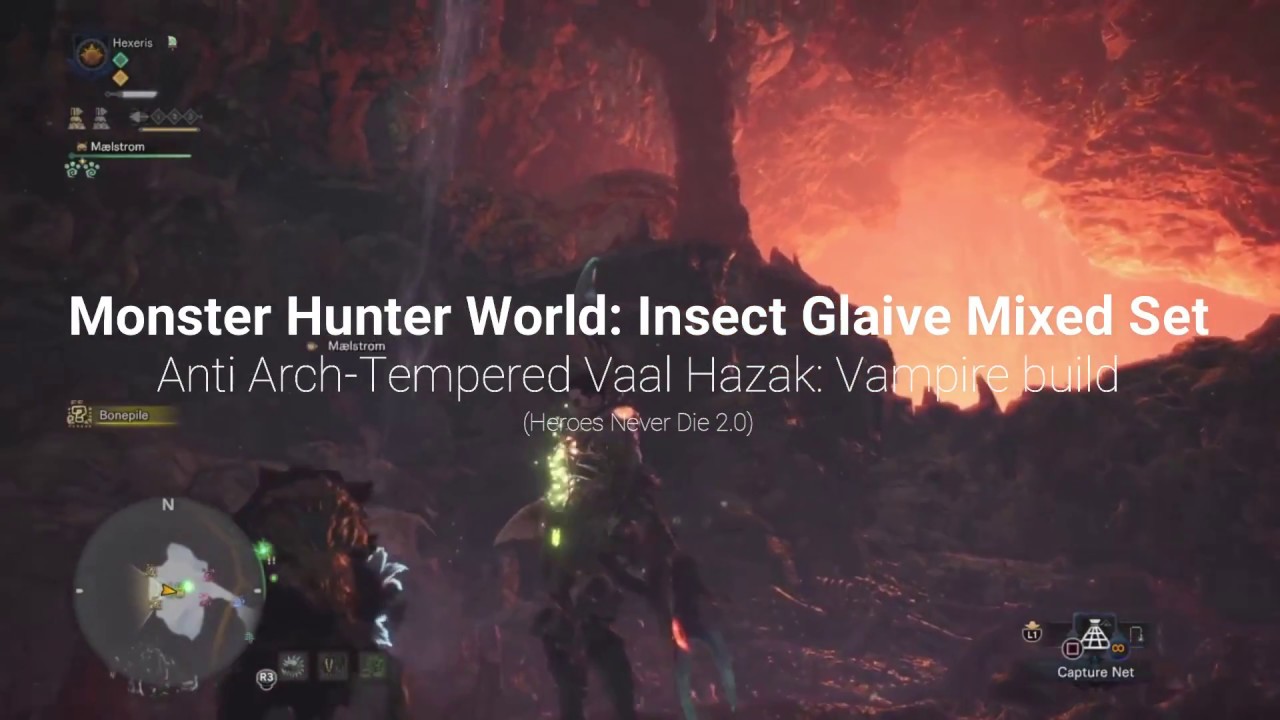 Insect Glaive Build: Anti Vaal Hazak Vampire Set