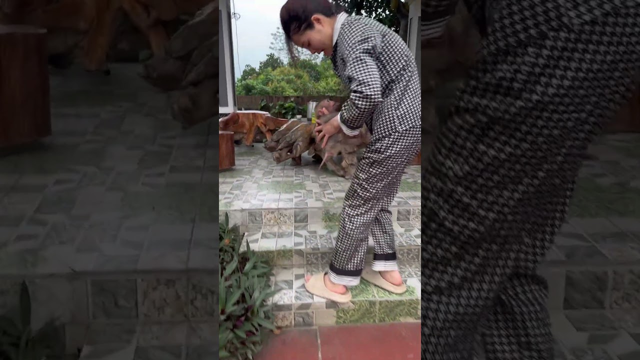 The baby monkey wants its mother to hold it.❤️😘🐒