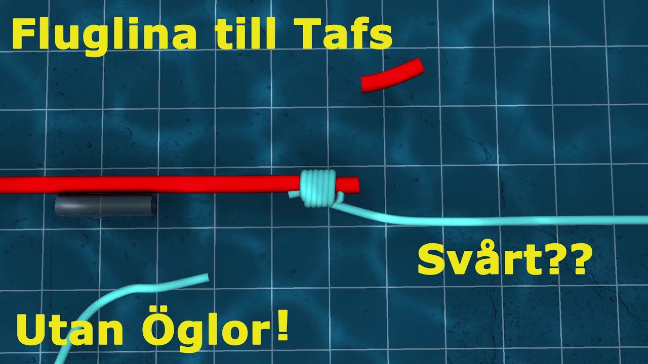Fluglina Till Tafs Utan Öglor | Fiskelycka