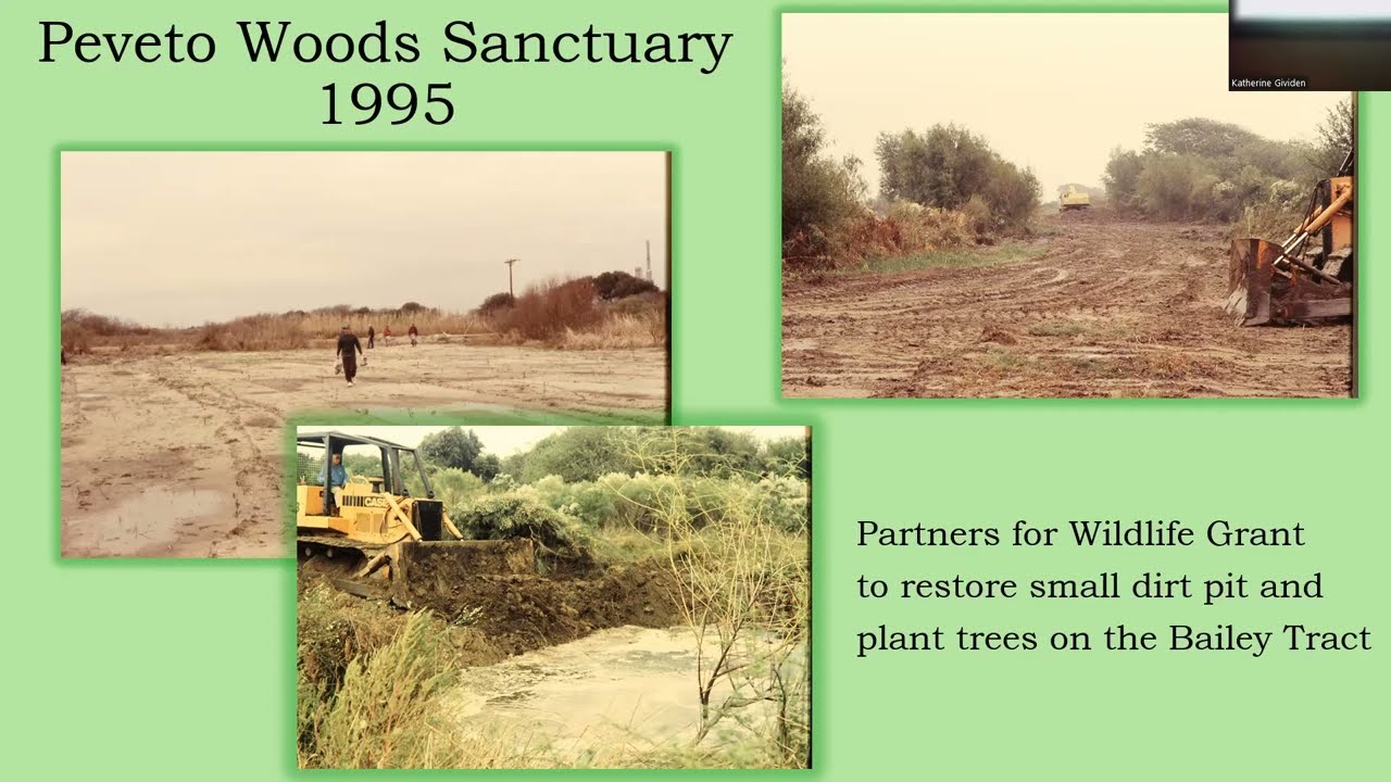 A brief history of Peveto Woods Sanctuary in Cameron parish, Louisiana, presented by Dave Patton.