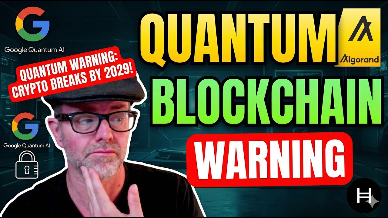 Google выбрал Algorand для квантовых вычислений, и он процветает.
