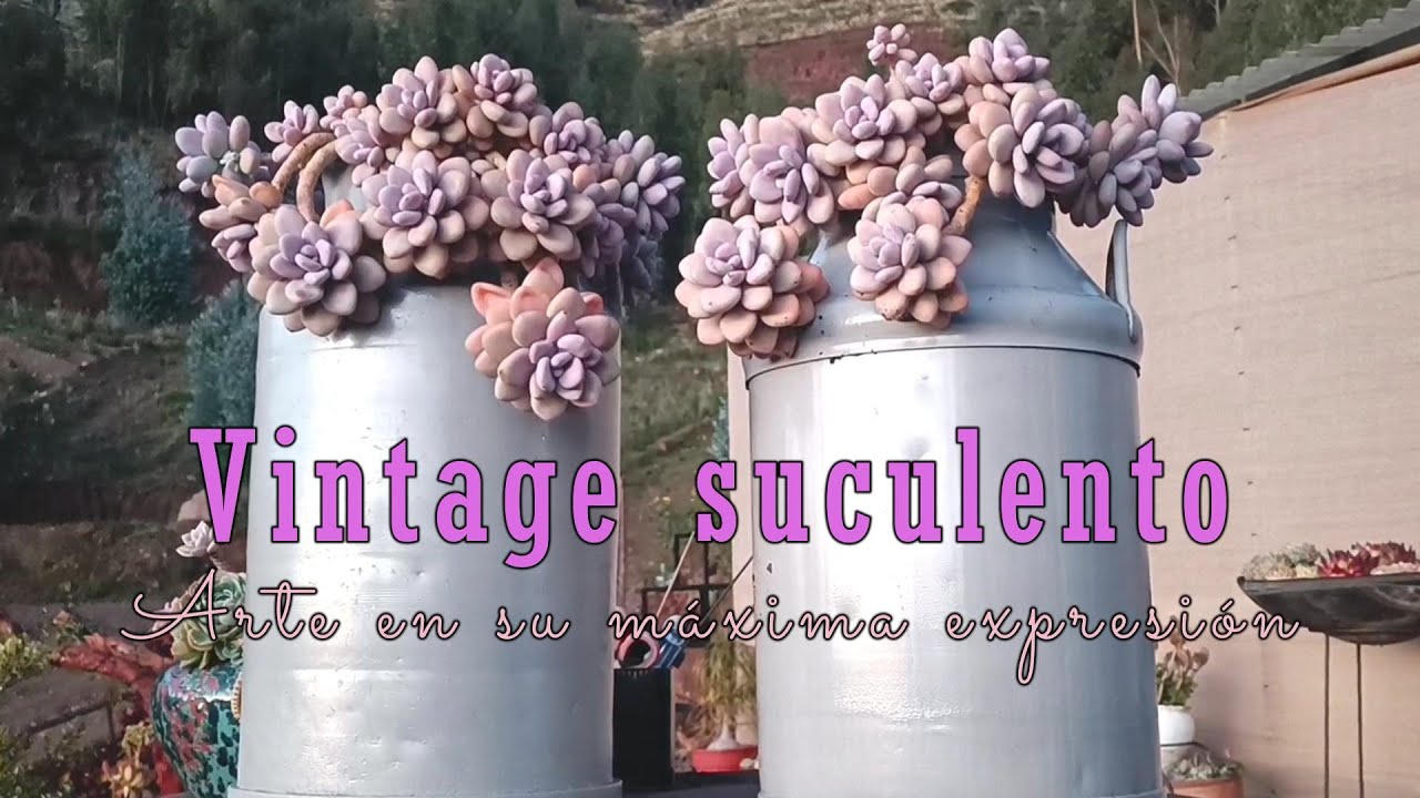 Un proyecto con mucho arte vintage suculento 