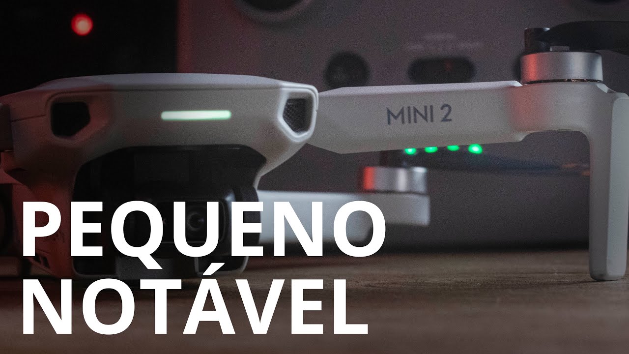 Mini 2 - Tamanho Não é Documento