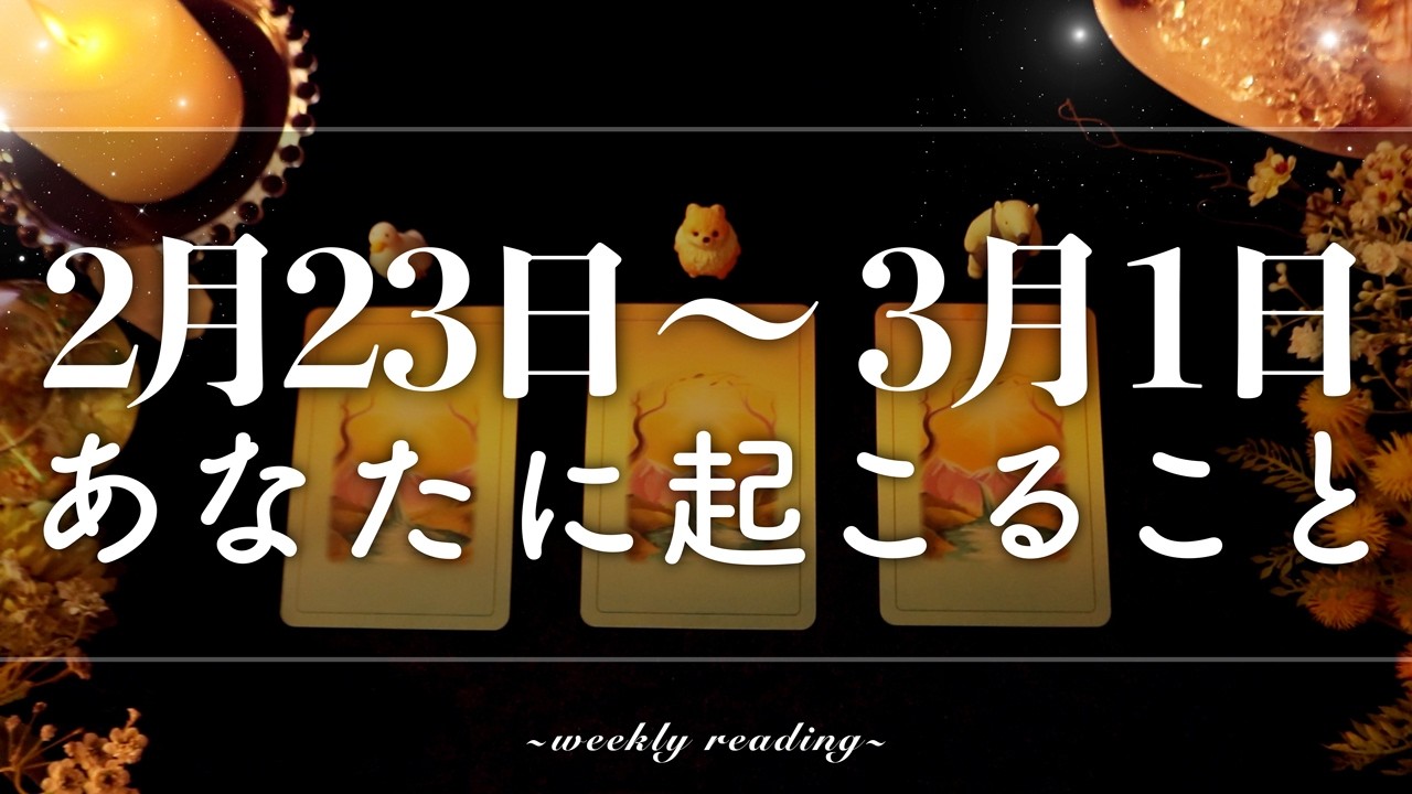 【2月23日〜3月1日】今週は整える時🌿🫧当たるタロット占い🌷🌟恋愛｜仕事｜人間関係