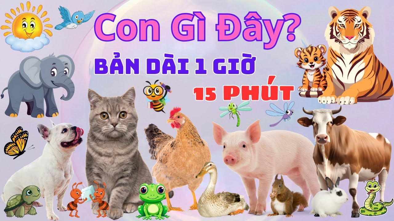 CON G&Igrave; Đ&Acirc;Y? TỔNG HỢP C&Aacute;C LO&Agrave;I ĐỘNG VẬT - BẢN D&Agrave;I NHẬN BIẾT CON VẬT: CON B&Ograve;, LỢN, CH&Oacute;, VOI, M&Egrave;O, G&Agrave;