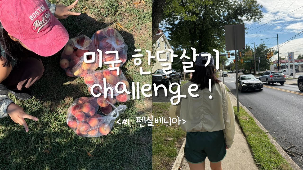 [펜실베니아🇺🇸] 미국 현지인은 이렇게 사는구나~