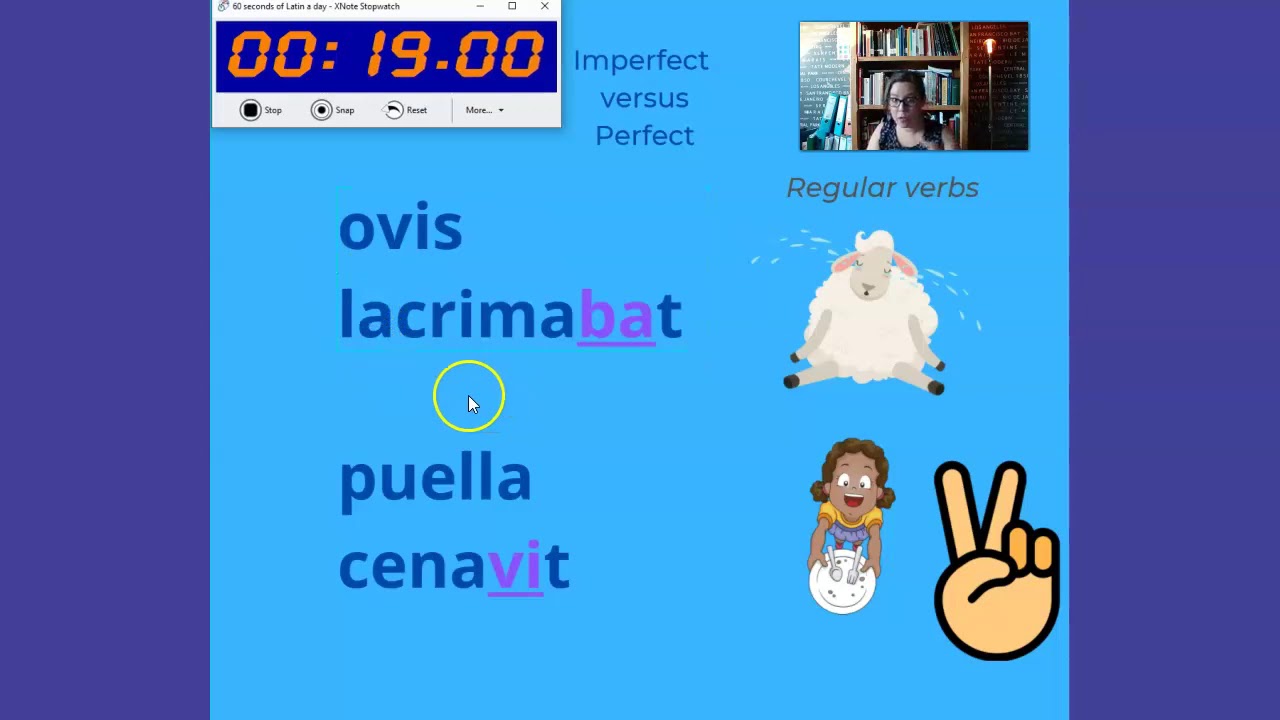 Imperfect versus Perfect in Latin