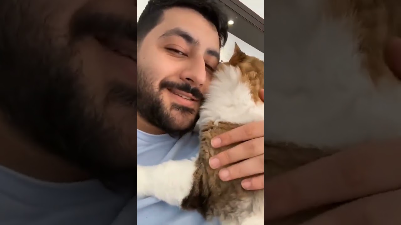 الحناوي بعد أول بيبي❤️✨