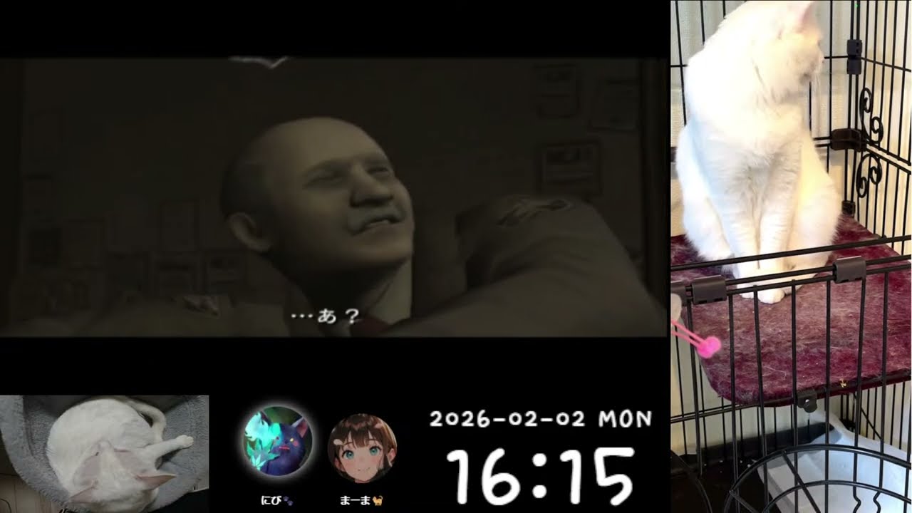にび猫Live🐾/アウトブレイク  2026-1-17